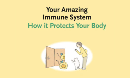 Your Amazing Immune System – How It Protects You
