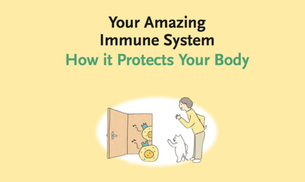 Your Amazing Immune System – How It Protects You