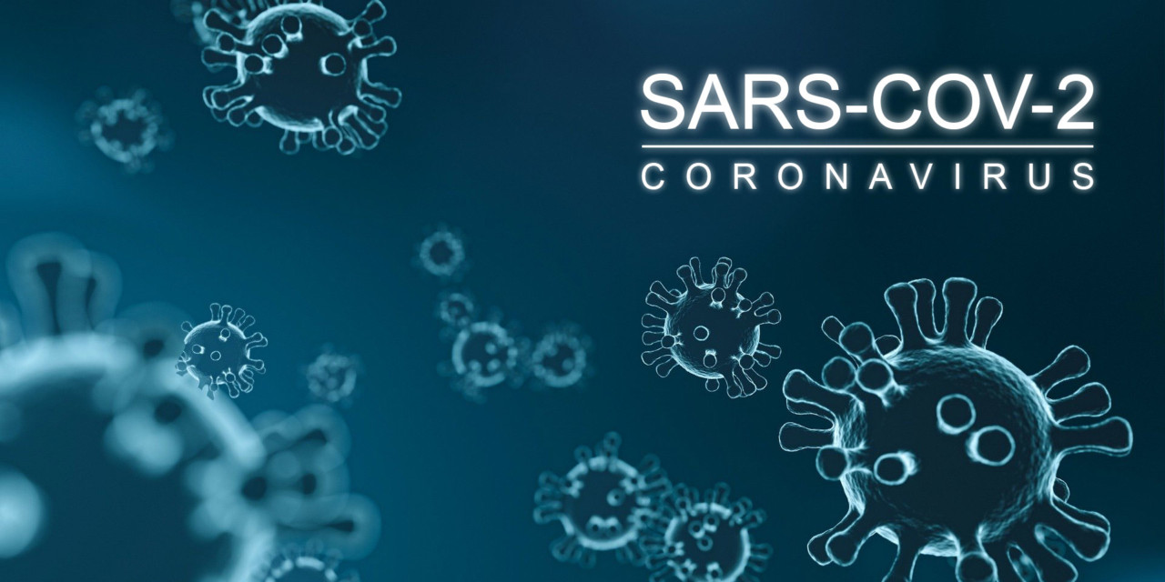 Novel Coronavirus SARS-CoV-2 Information